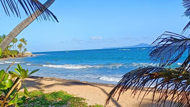 Una playa con agua azul cristalina, palmeras y una montaña a lo lejos.