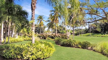 Un jardí exuberant amb palmeres, gespa ben cuidada i diversos arbustos.