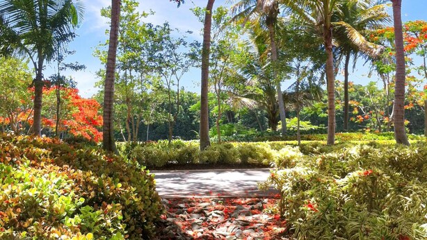 A pathway through a garden with various plants and trees, including some with red flowers. - Orchid Villa (Río Grande)