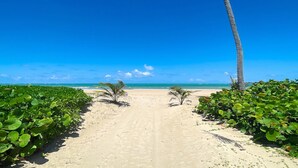 Un sentier bordé de verdure luxuriante qui mène à la plage, avec un ciel bleu et dégagé au-dessus.