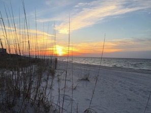 A beach with tall grasses and a sunset over the ocean.