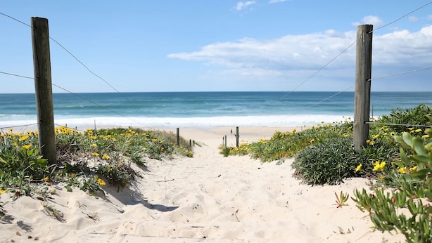 A sandy beach path leading to the ocean, flanked by wooden posts and yellow flowers.