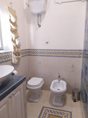 Hair dryer, bidet, soap, toilet paper
