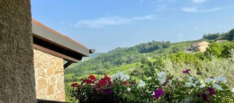 Live & Love The Prosecco Hills 