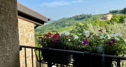 Live & Love The Prosecco Hills