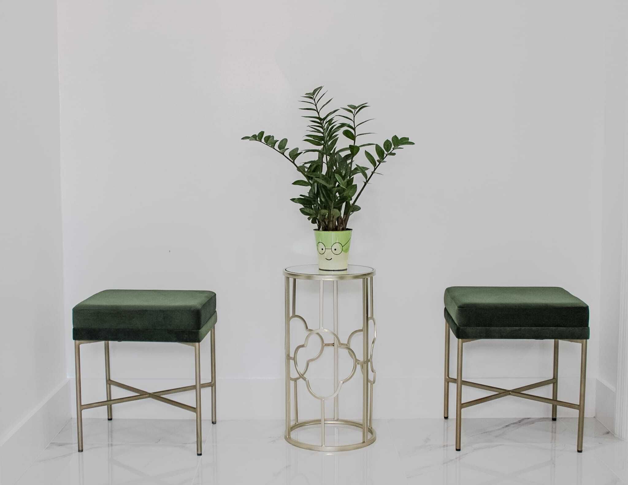 Two green cushioned stools with metal legs and a small table with a plant in a green pot.