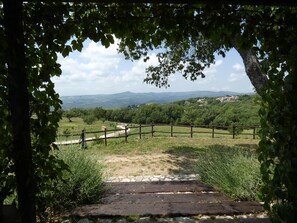 Property grounds - I run away to Umbria, Le Salce (civitella del lago)