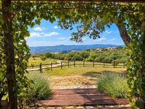 A wooden pathway leading to a rural landscape with a fenced field and distant hills. - SCAPPO IN UMBRIA, Le Salce (civitella del lago)