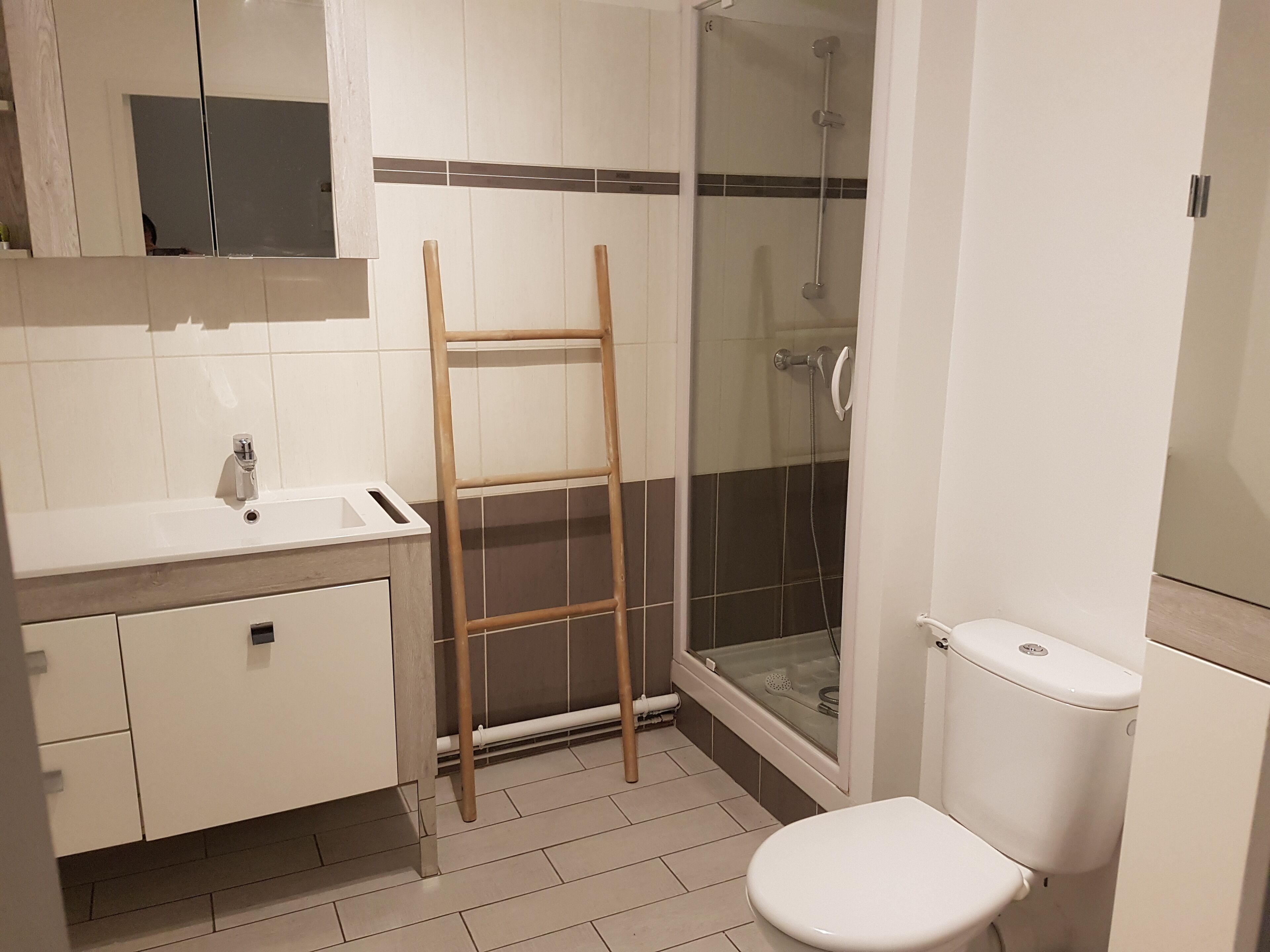 Douche, sèche-cheveux, serviettes fournies, papier toilette