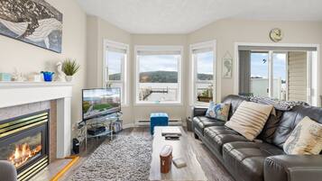 Smart TV, fireplace, DVD player, books