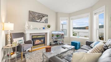 TV connectée, cheminée, lecteur de DVD, livres