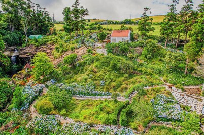 Flores Garden Retreat