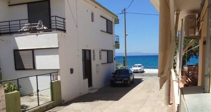 Frinda Studio Next to the sea