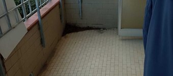 Kiko&Perla house, accogliente, a pochi metri dal centro e dal mare; 