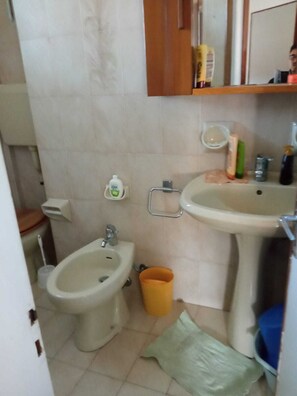 Séchoir à cheveux, bidet, papier de toilette