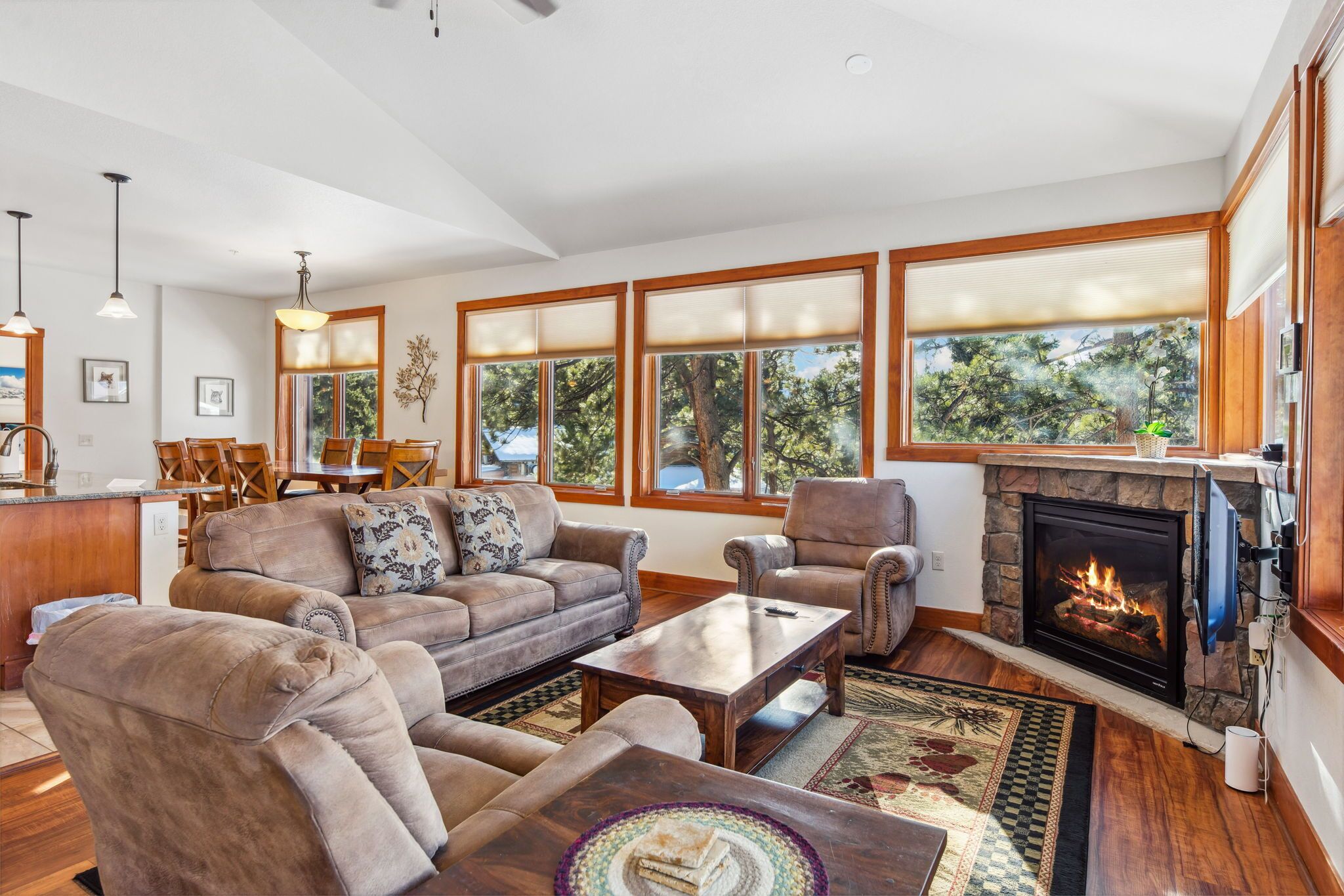 TV, fireplace