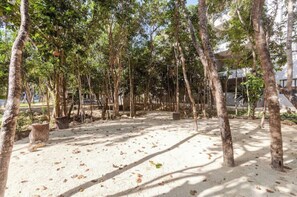 Escape to a serene natural oasis surrounded by tall trees.