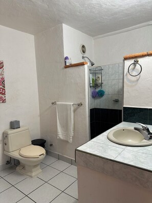 淋浴設備、提供毛巾、番梘、廁紙