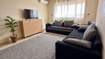 TV, books, computer monitors