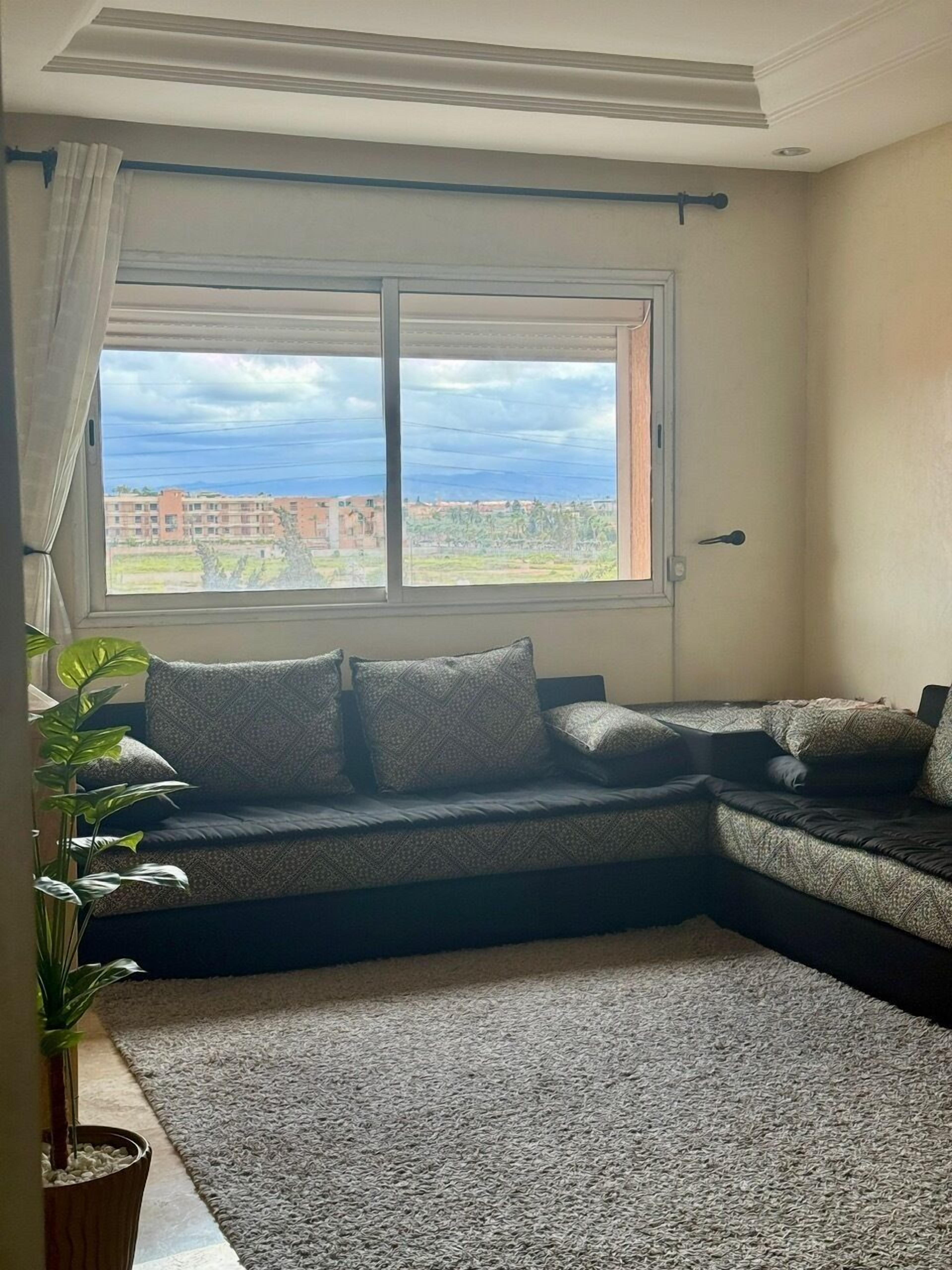 TV, books, computer monitors