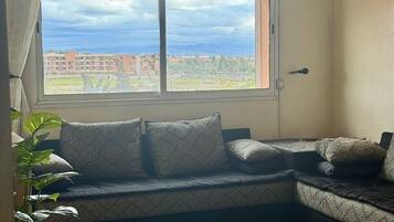 TV, books, computer monitors