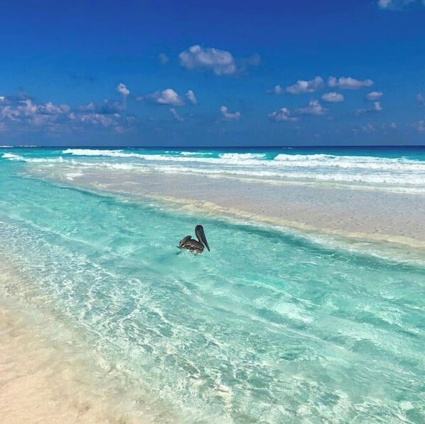 Sun-loungers, beach towels