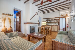 Televisión, chimenea, reproductor de DVD