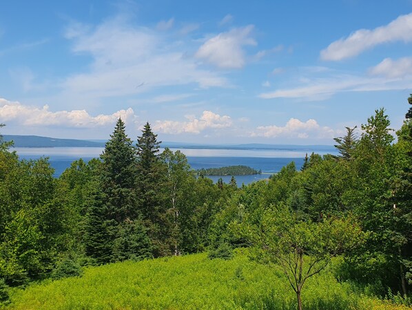 Paisaje boscoso con vista a un lago y montañas distantes.