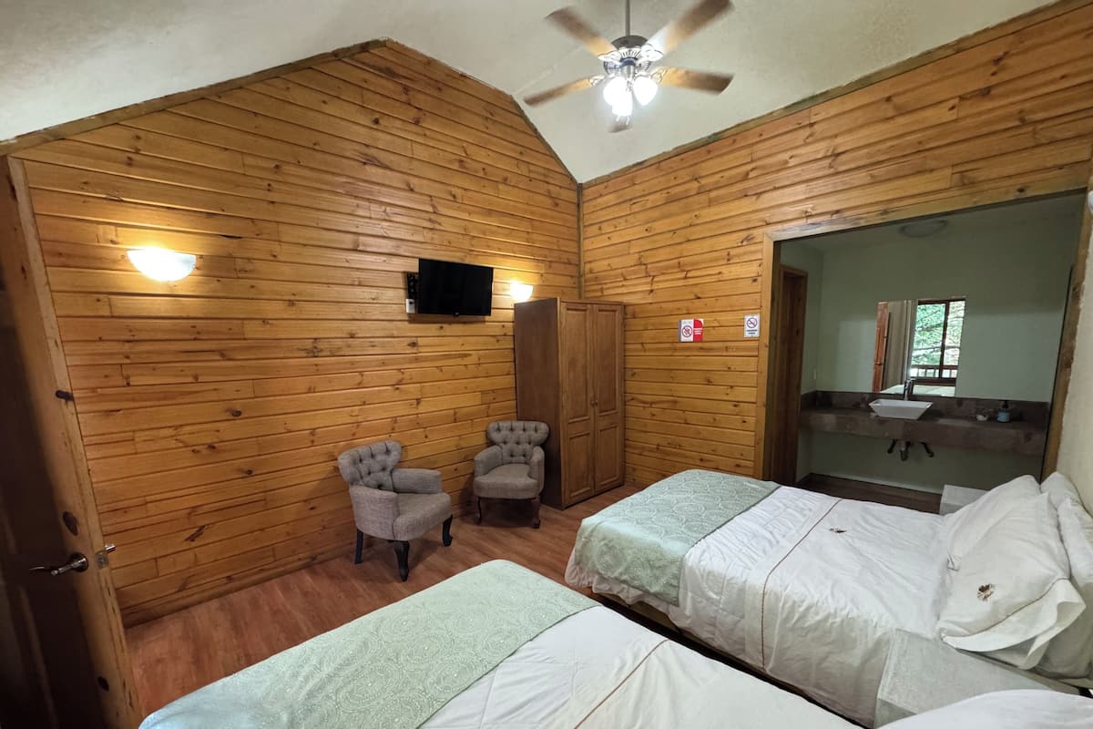 Desk, free WiFi, bed sheets
