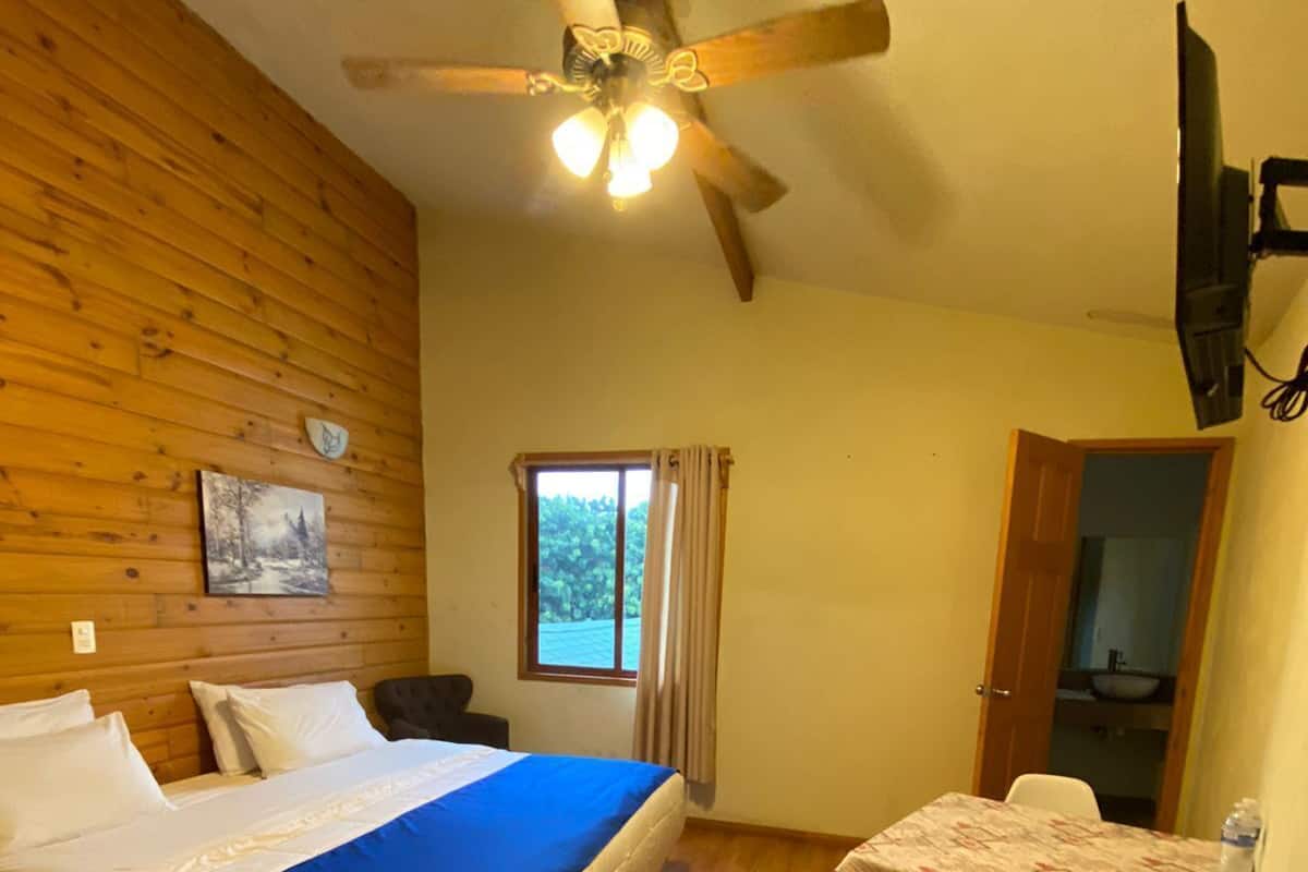 A bedroom with a bed, a desk, a ceiling fan, a window with curtains, and a painting on the wall.