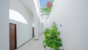 A corridor with white walls, a wooden door, and a planter with green foliage. - Hotel Miranda (Querétaro)
