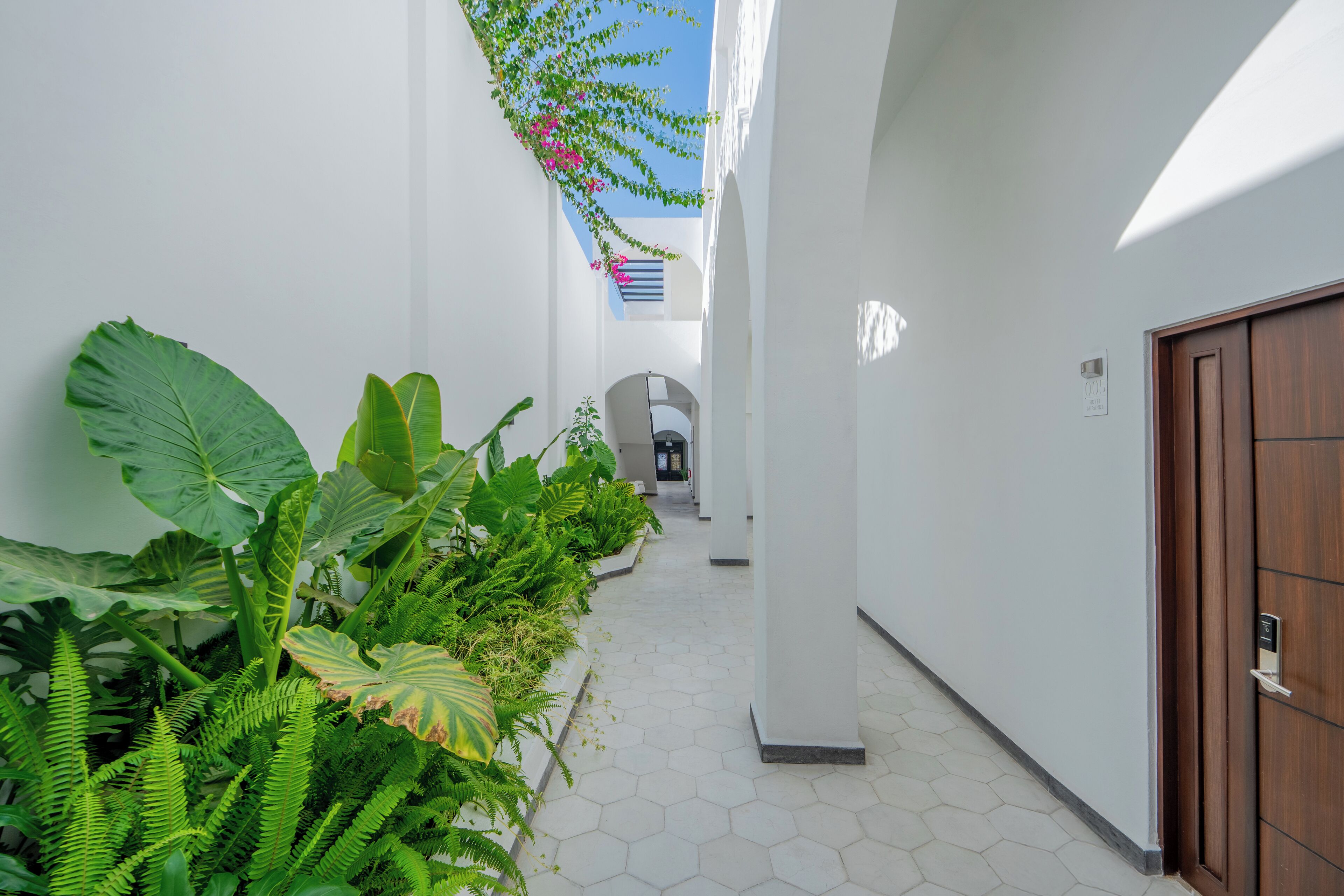 Un pasillo estrecho con paredes blancas y una puerta de madera, bordeado de grandes plantas verdes y un arreglo floral colgante.