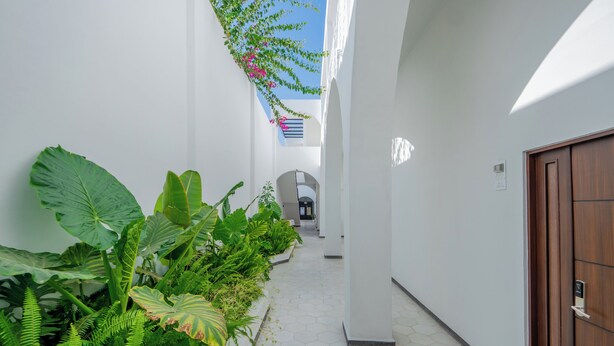 A narrow hallway with white walls and a wooden door, lined with large green plants and a hanging flower arrangement. - Hotel Miranda (Querétaro)