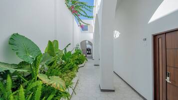 Un pasillo estrecho con paredes blancas y una puerta de madera, bordeado de grandes plantas verdes y un arreglo floral colgante.