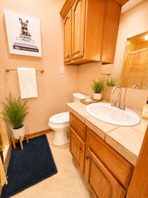 Shower, hair dryer, towels, soap