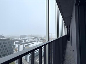 Terrace/patio - Charming one bedroom flat with terrace (Esch-sur-Alzette)