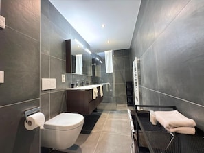 Bathroom - Charming one bedroom flat with terrace (Esch-sur-Alzette)
