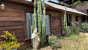 A rustic wooden building with tall cacti and a statue in the foreground.
