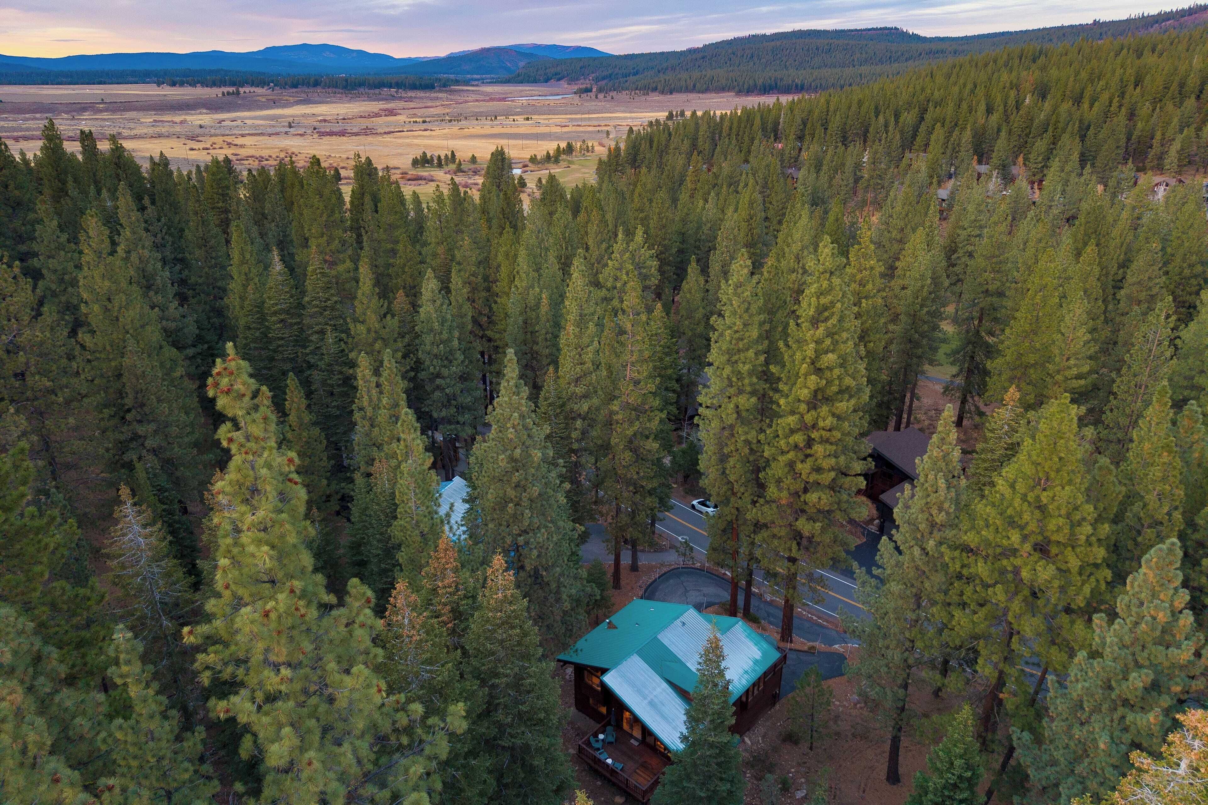 Une cabane entourée d’une forêt dense, avec un chemin dégagé menant à celle-ci.