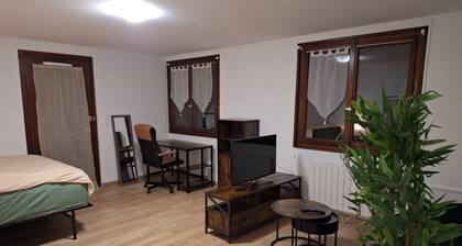 T2 close to Swiss customs, train to Geneva (20 min), TPG bus