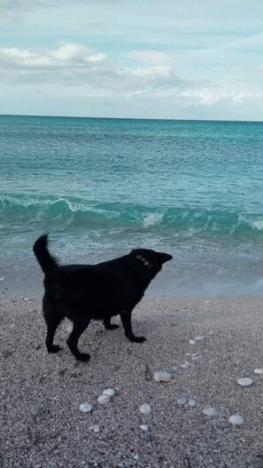 Apartment | Strand | Am Strand