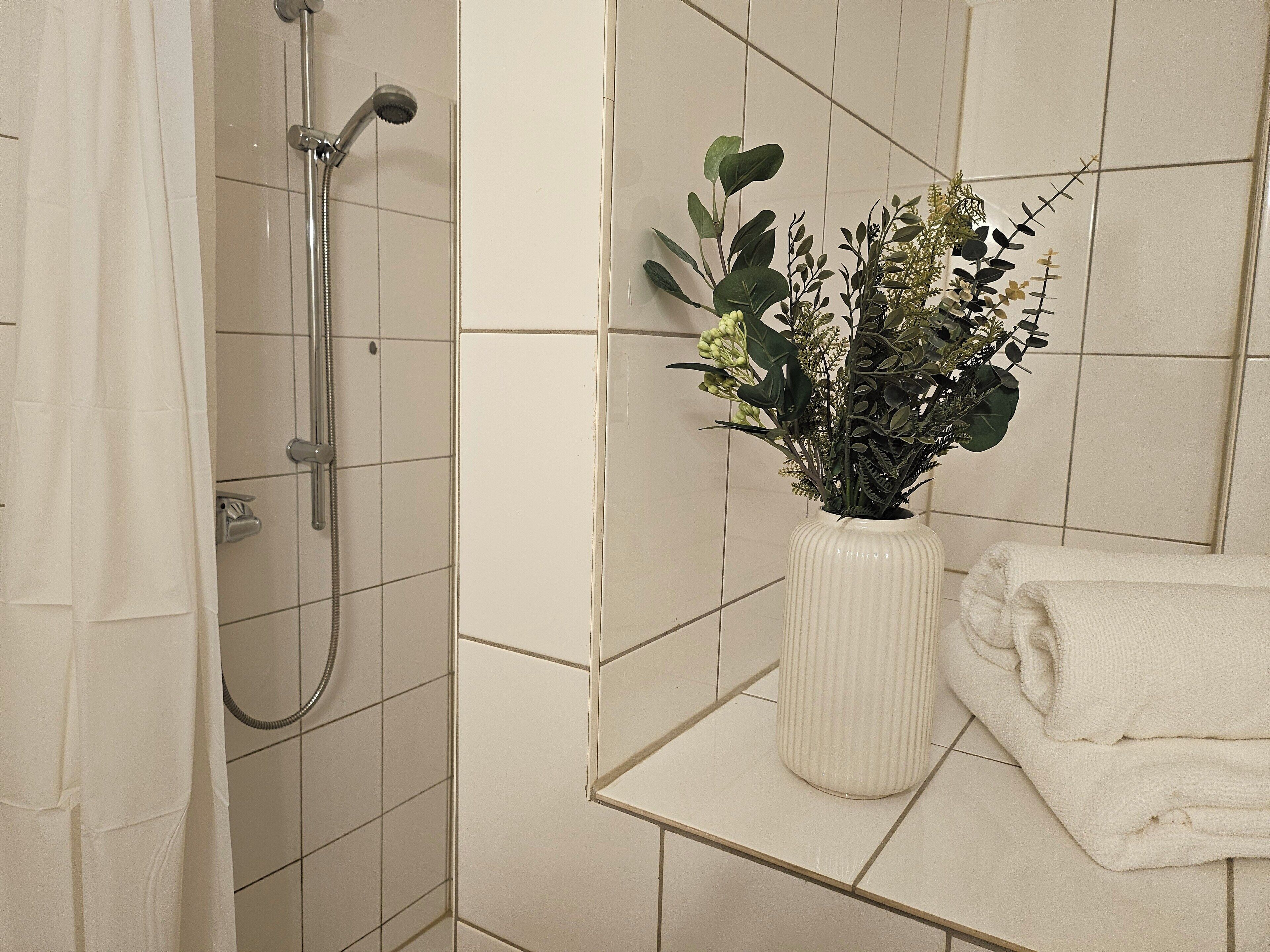 Dusche, Handtücher, Seife, Toilettenpapier