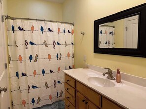 Shower, hair dryer