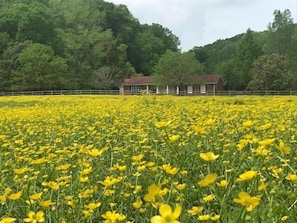 Terrein van de accommodatie