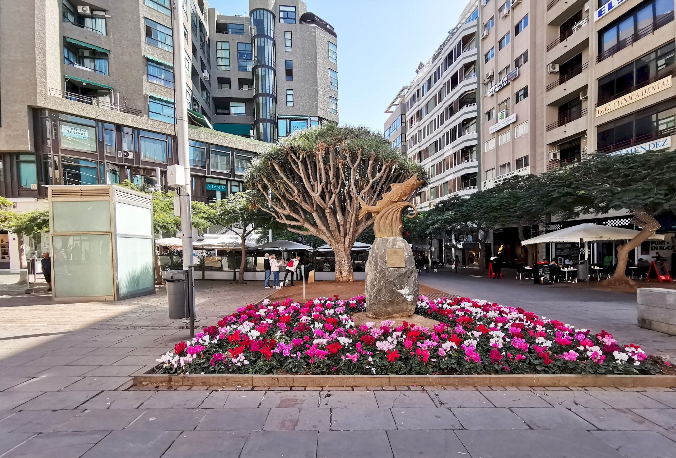 Una plaza con una escultura de árbol en el centro, rodeada de macizos de flores.