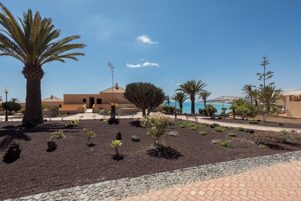 A landscaped garden with palm trees, a swimming pool, and a building with a tiled roof.