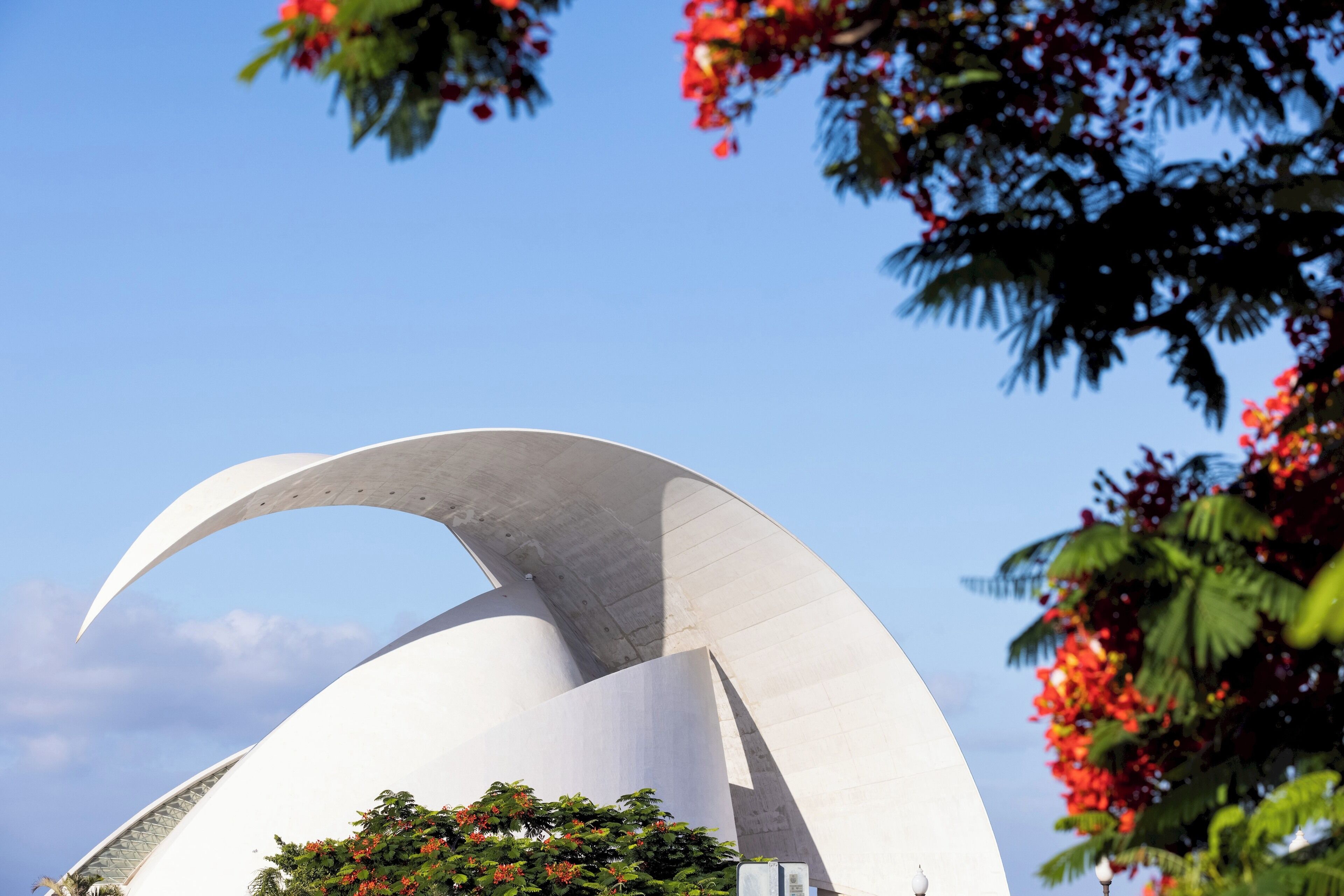Una estructura arquitectónica moderna con un diseño curvo, rodeada de abundante vegetación y flores rojas.