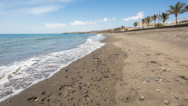 Una playa de guijarros y un mar tranquilo, palmeras y un cielo despejado.