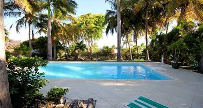 Villa Les Palmiers - At the foot of a beach
