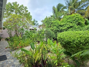 Stroll through the lush garden, featuring a variety of tropical plants and a winding pathway.